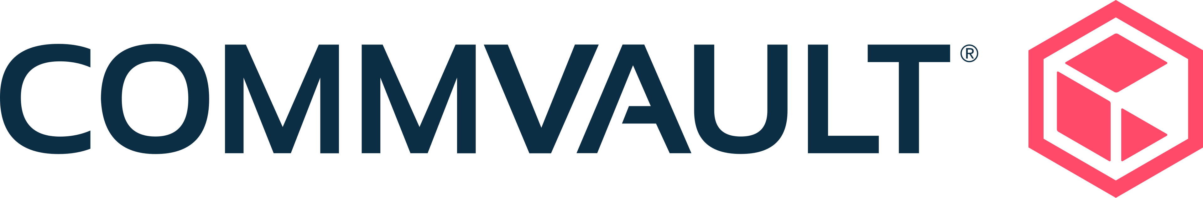 Commvault Partner Program